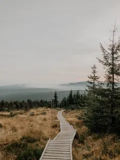 Hnědá dřevěná cesta mezi zelenými stromy na hřebenu hory Smrk